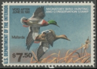 Scan of RW47 1980 Duck Stamp  Unsigned, No Gum F-VF
