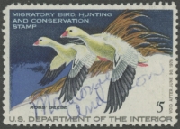 Scan of RW44 1977 Duck Stamp  Used F-VF