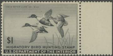 Scan of RW12 1945 Duck Stamp  MNH F-VF