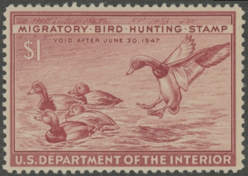 Scan of RW13 1946 Duck Stamp  MNH F-VF