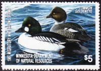 Scan of 1987 Minnesota Duck Stamp MNH F-VF