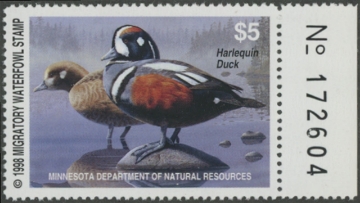 Scan of 1998 Minnesota Duck Stamp MNH VF