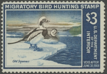 Picture of RW34 1967 Duck Stamp  Unsigned Fine