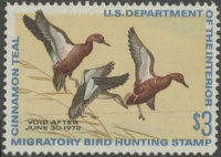 Scan of RW38 1971 Duck Stamp  Unsigned F-VF