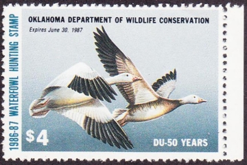 Scan of 1986 Oklahoma Duck Stamp MNH VF