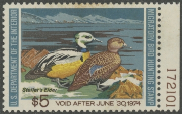 Scan of RW40 1973 Duck Stamp  Unsigned F-VF