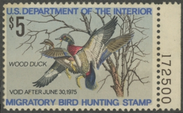 Scan of RW41 1974 Duck Stamp  Unsigned Fine