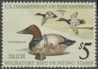 Scan of RW42 1975 Duck Stamp  Unsigned F-VF