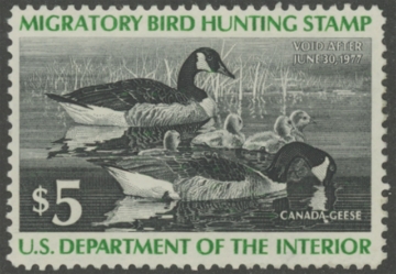 Scan of RW43 1976 Duck Stamp  Unsigned F-VF