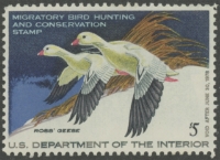 Scan of RW44 1977 Duck Stamp  MLH VF