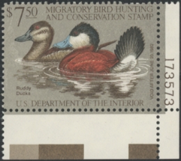 Scan of RW48 1981 Duck Stamp  MNH F-VF