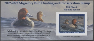 Picture of RW89A 2022 Duck Stamp  MNH VF