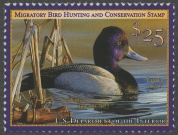 Picture of RW88 2021 Duck Stamp  MNH VF
