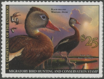 Picture of RW87 2020 Duck Stamp  MNH VF