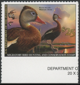 Picture of RW87 2020 Duck Stamp  MNH F-VF
