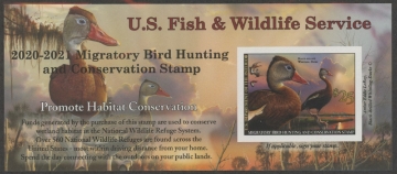 Picture of RW87A 2020 Duck Stamp  MNH VF