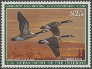 Scan of RW84 2017 Duck Stamp  MNH XF