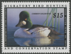Scan of RW80 2013 Duck Stamp  MNH F-VF