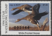 Scan of 1996 Utah Duck Stamp MNH VF