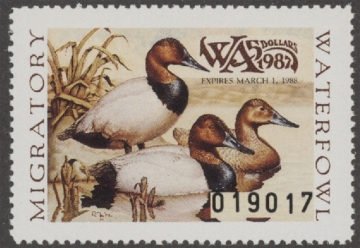 Scan of 1987 Washington Duck Stamp MNH VF