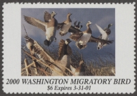 Scan of 2000 Washington Duck Stamp MNH VF