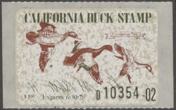 Scan of 1977 California Duck Stamp MNH VF