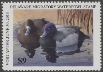 Picture of 2012 Delaware Duck Stamp MNH VF