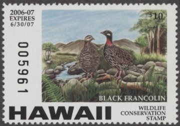 Scan of 2006 Hawaii Duck Stamp MNH VF