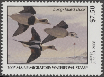 Picture of 2007 Maine Duck Stamp MNH VF