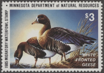 Scan of 1985 Minnesota Duck Stamp MNH VF