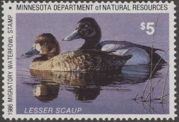 Scan of 1986 Minnesota Duck Stamp MNH VF