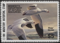 Scan of 1991 Minnesota Duck Stamp MNH VF