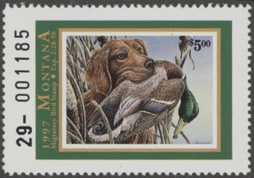 Scan of 1997 Montana Duck Stamp MNH VF