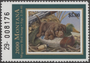 Scan of 2000 Montana Duck Stamp MNH VF