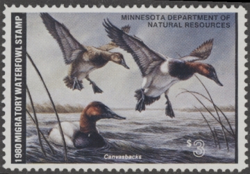 Scan of 1980 Minnesota Duck Stamp MNH VF