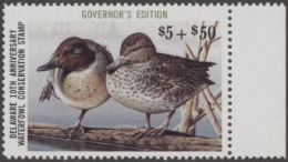 Scan of 1990 Delaware Duck Stamp Governor's Edition MNH VF