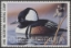 Scan of 1990 Oklahoma Duck Stamp MNH VF