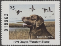 Scan of 1991 Oregon Duck Stamp MNH VF