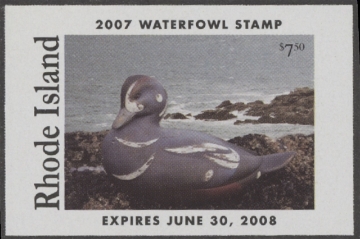 Picture of 2007 Rhode Island Duck Stamp MNH VF