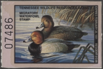 Scan of 1990 Tennessee Duck Stamp MNH VF