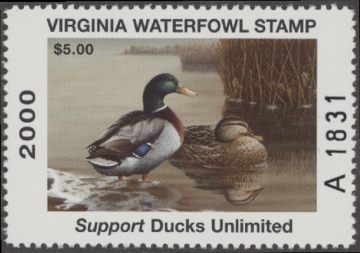 Scan of 2000 Virginia Duck Stamp MNH VF