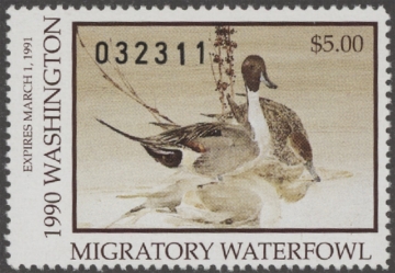 Scan of 1990 Washington Duck Stamp MNH VF