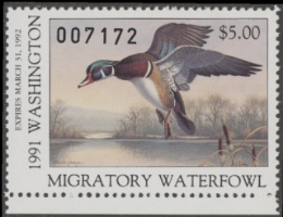 Scan of 1991 Washington Duck Stamp MNH VF