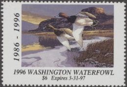 Scan of 1996 Washington Duck Stamp MNH VF