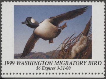 Scan of 1999 Washington Duck Stamp MNH VF