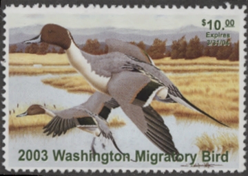 Scan of 2003 Washington Duck Stamp MNH VF