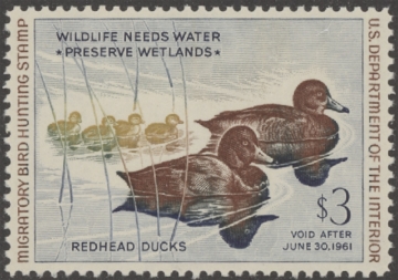 Scan of RW27 1960 Duck Stamp  MNH VF