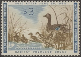 Scan of RW28 1961 Duck Stamp  MNH Fine