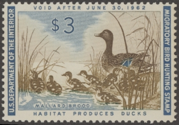 Scan of RW28 1961 Duck Stamp  MNH Fine