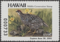 Scan of 2000 Hawaii Duck Stamp MNH VF